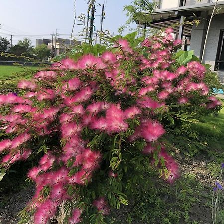 Early Summer Luodong Exterior photo